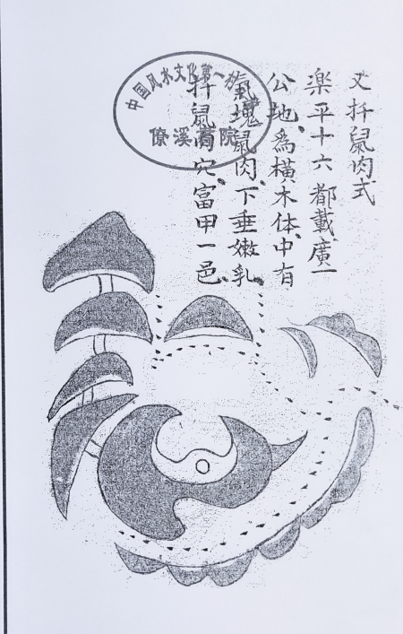 1681518806948746.png