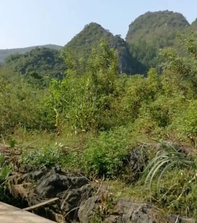 1684762908183761.png