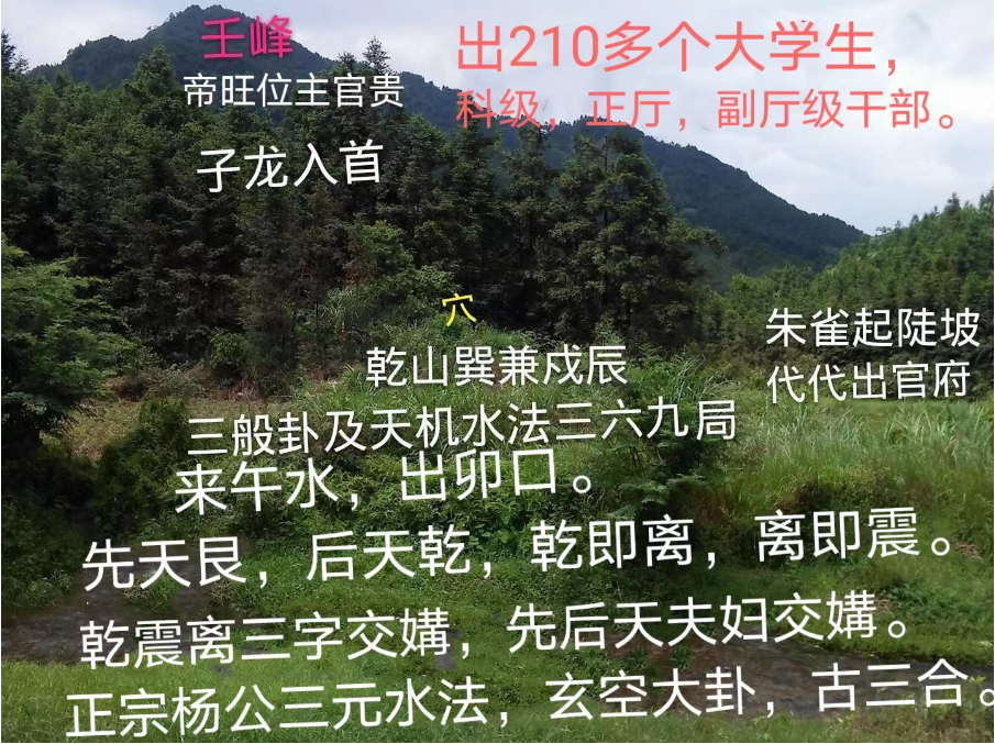 1700393790897623.png