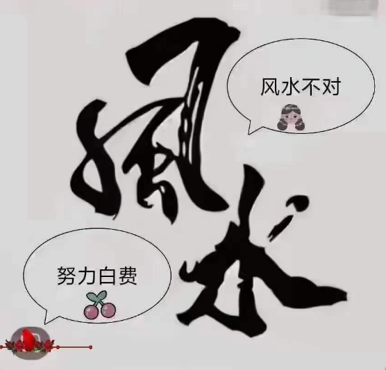 1709020510772898.png