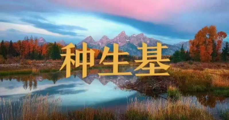 1709251656545734.png