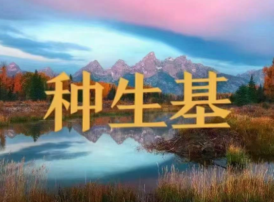 1710476427383888.png