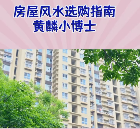 1711498615584722.png 1.png
