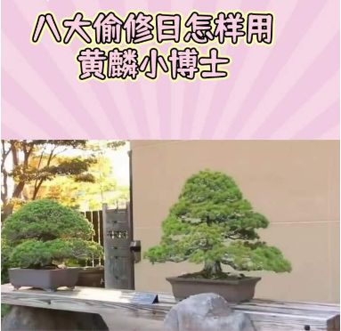 1713149742338838.png 1.png