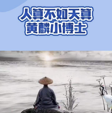 1714032520135598.png 1.png