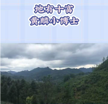 1715220347621967.png 1.png