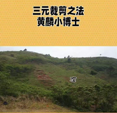 1717720272493622.png 1.png