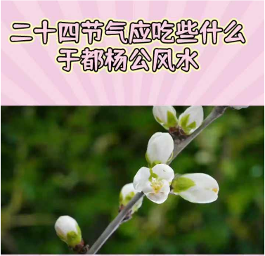 1723187375692351.png 1.png