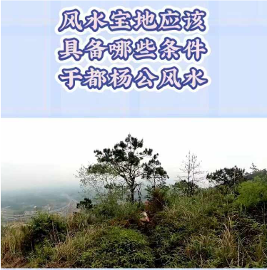 1725807509458383.png 1.png