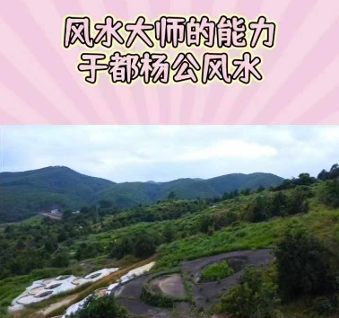 1731486730147339.png 1.png