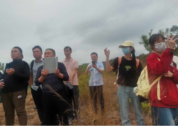 1731848829484495.png