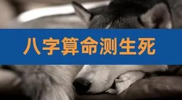 1735455220205916.png 1.png