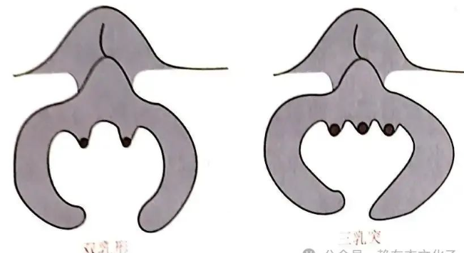 1737452505307031.png 4.png