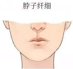 1744973074555722.png 3.png