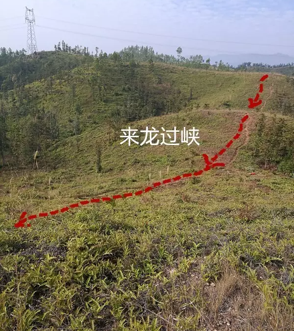 1755058089643532.png