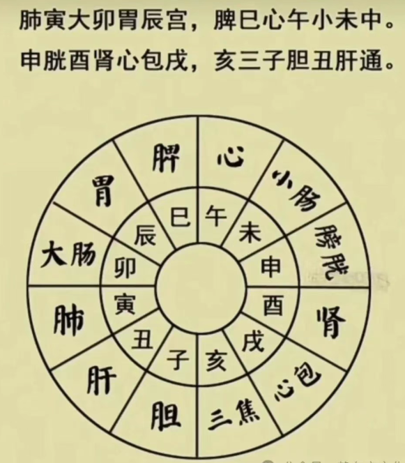 1755483113475337.png