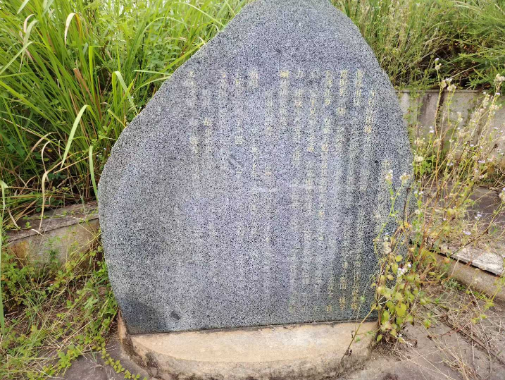 1756453270917787.png