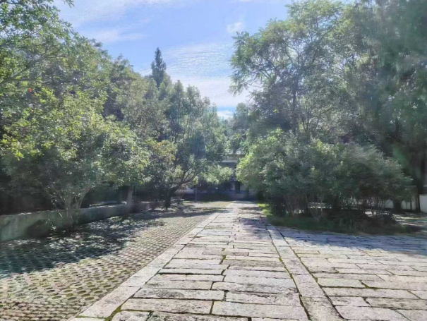 1758934257571924.png