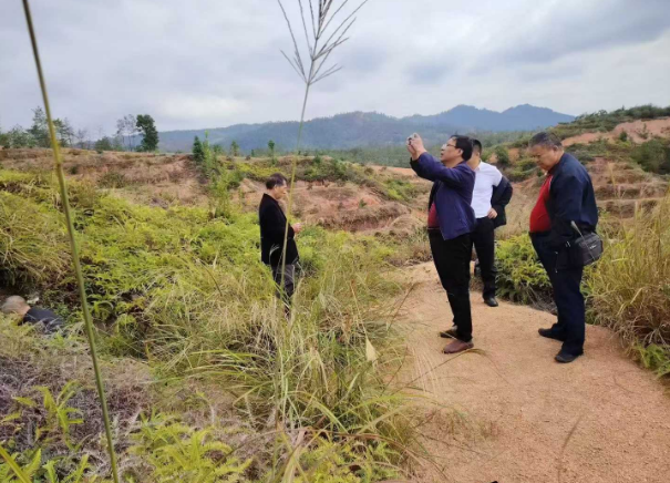 1761264004442613.png