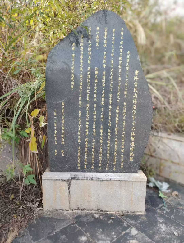 1764841975378230.png