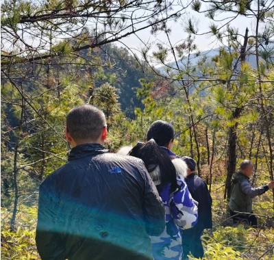 1768289612328822.jpg