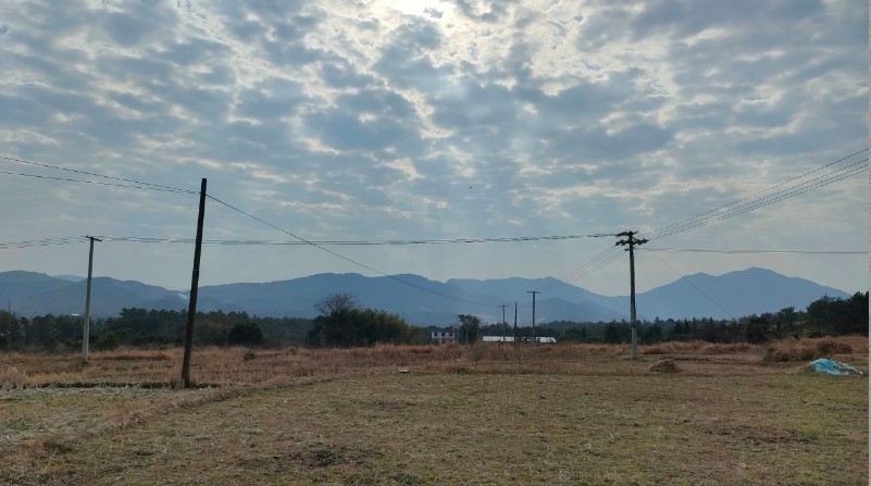 1770124238787200.jpg