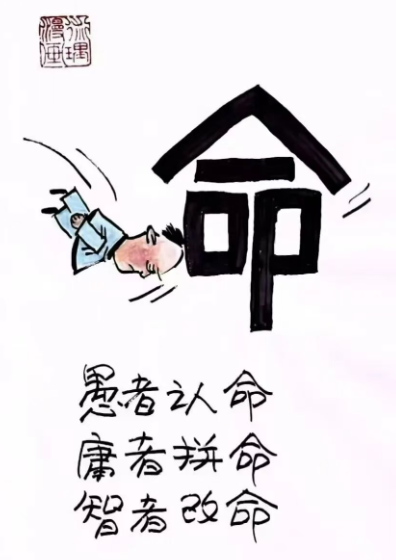 1775865184867035.png 8.png