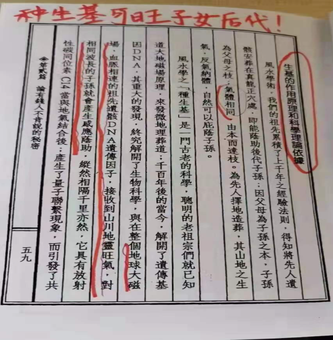 1776036197212911.jpg 5.jpg