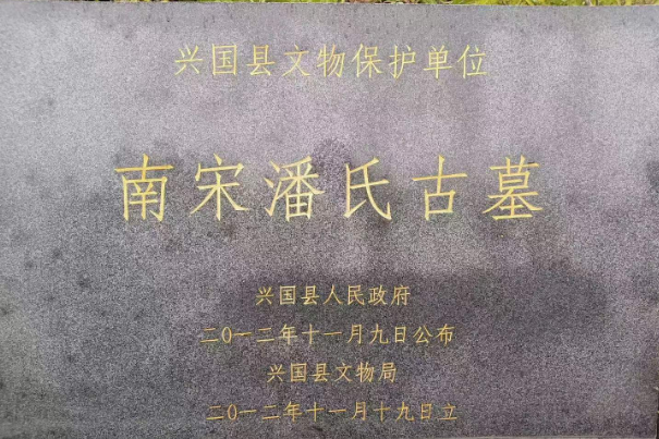 14.jpg