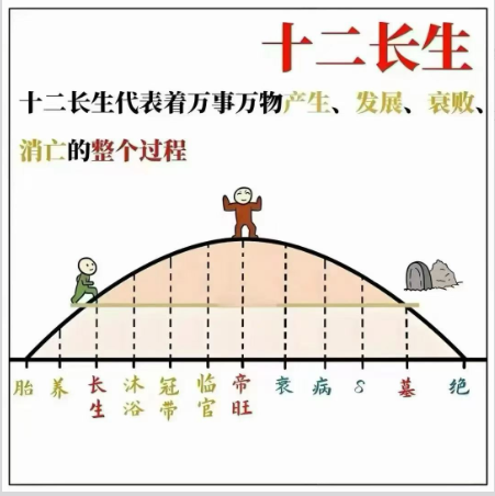 1781007395224128.jpg 154.jpg