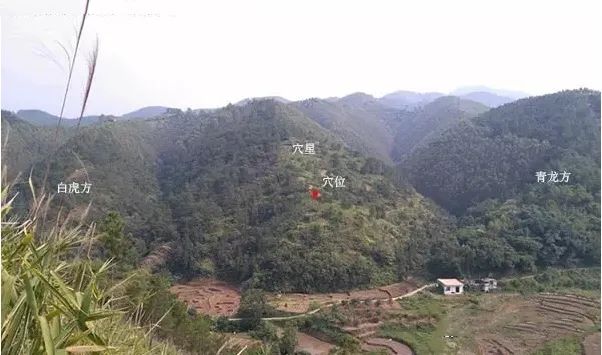微信图片_20210521152342.jpg 图片