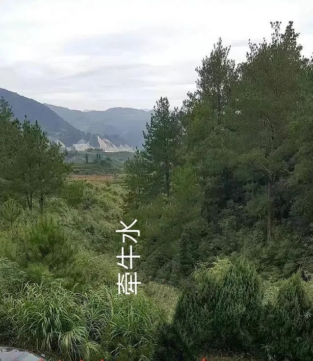 微信图片_20210710190040.jpg 图片