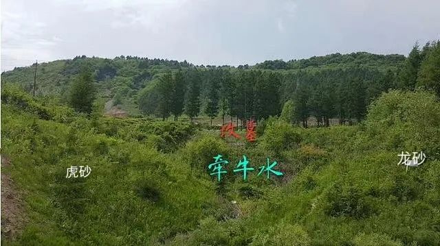 微信图片_20210710185634.jpg 图片
