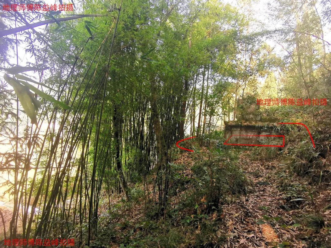 1621866719483357.jpg 图片