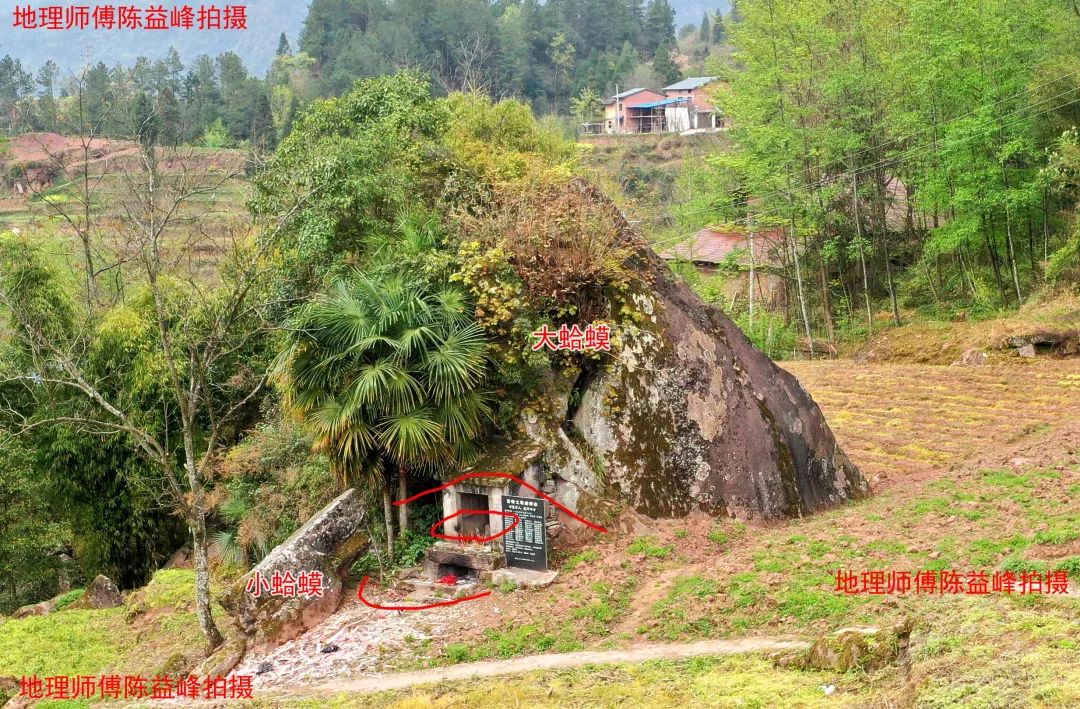 1616681123713463.jpg 图片