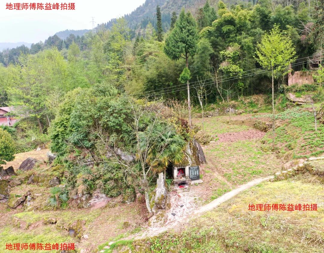 1616681445468133.jpg 图片