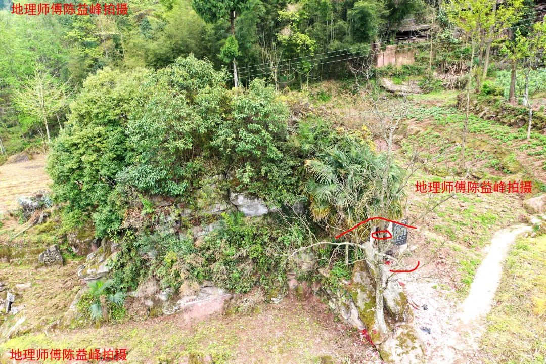 1616681800679529.jpg 图片