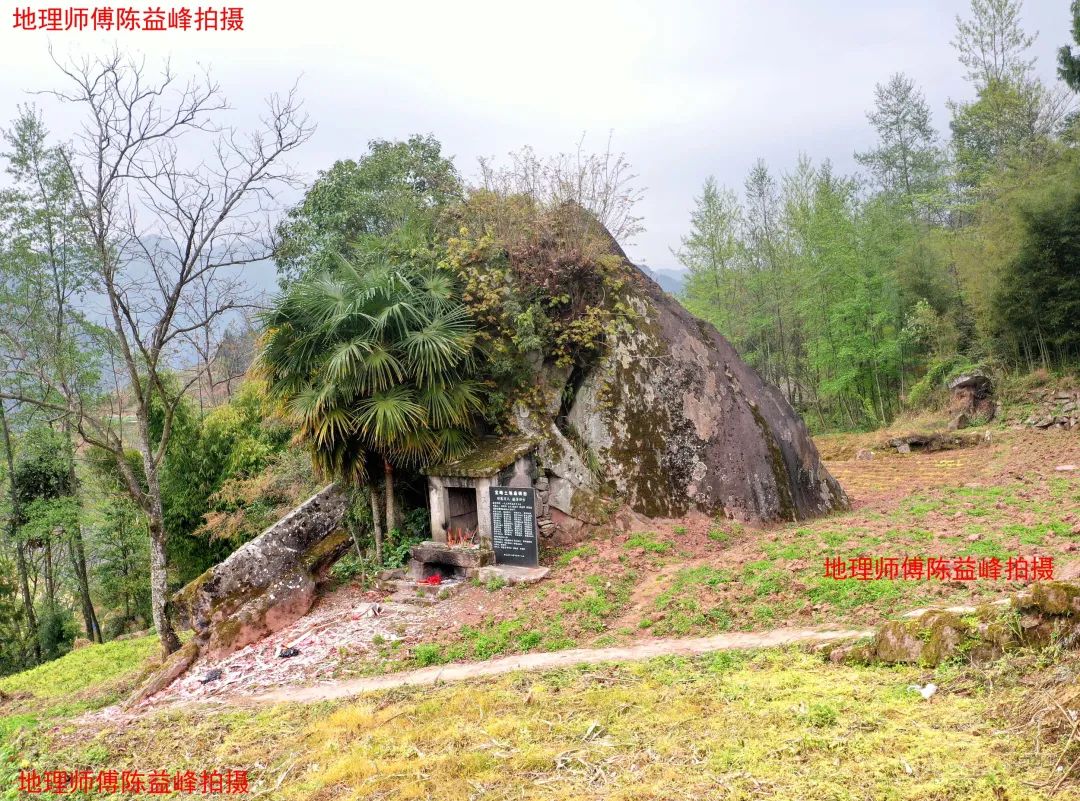 1616681336824625.jpg 图片