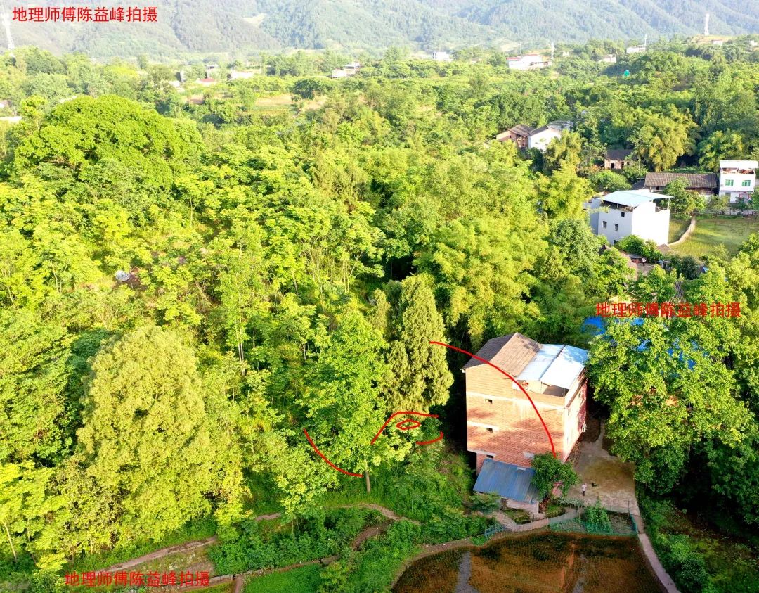1621507596536672.jpg 图片