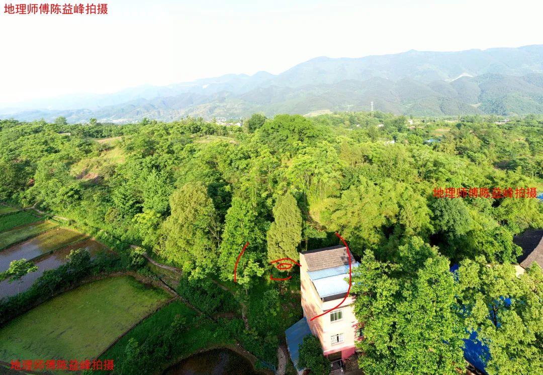 1621507591862171.jpg 图片