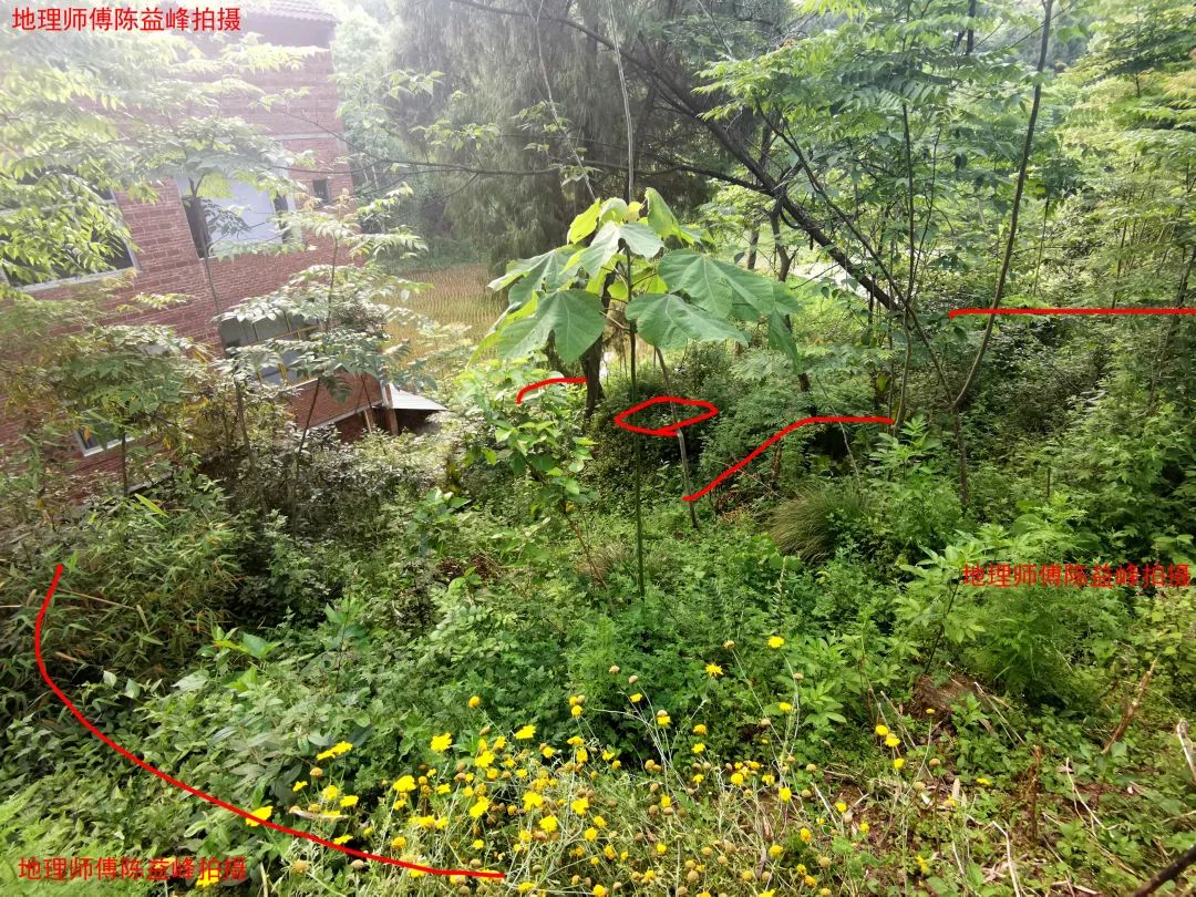 1621507523655193.jpg 图片