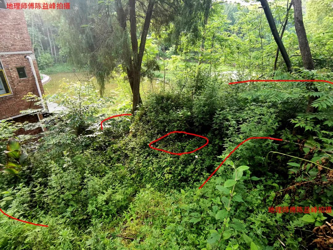 1621507513866890.jpg 图片