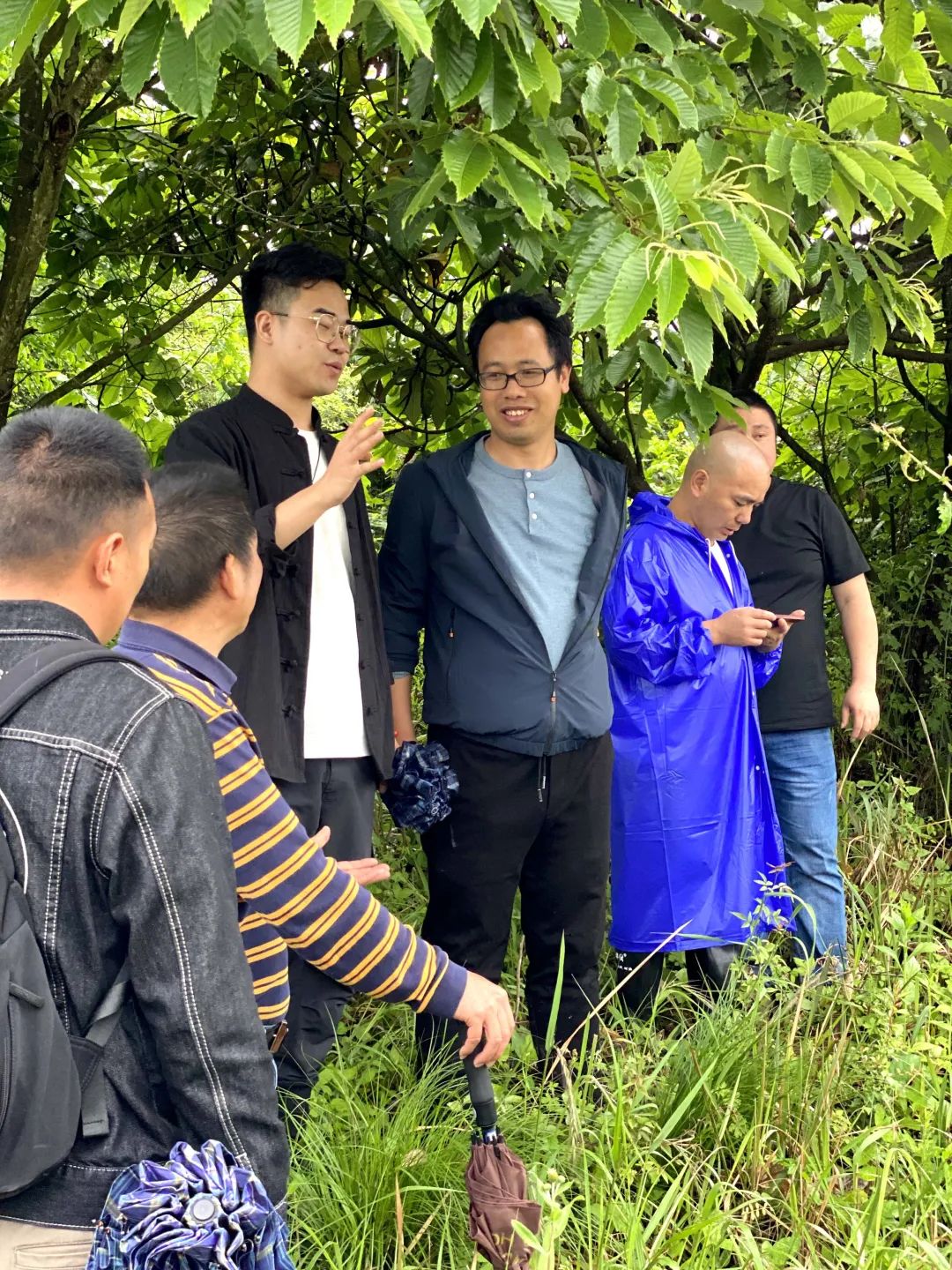 1621253337227502.jpg 图片