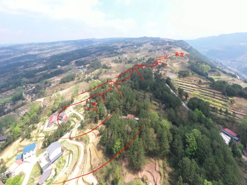 1585281778730363.jpg 图片