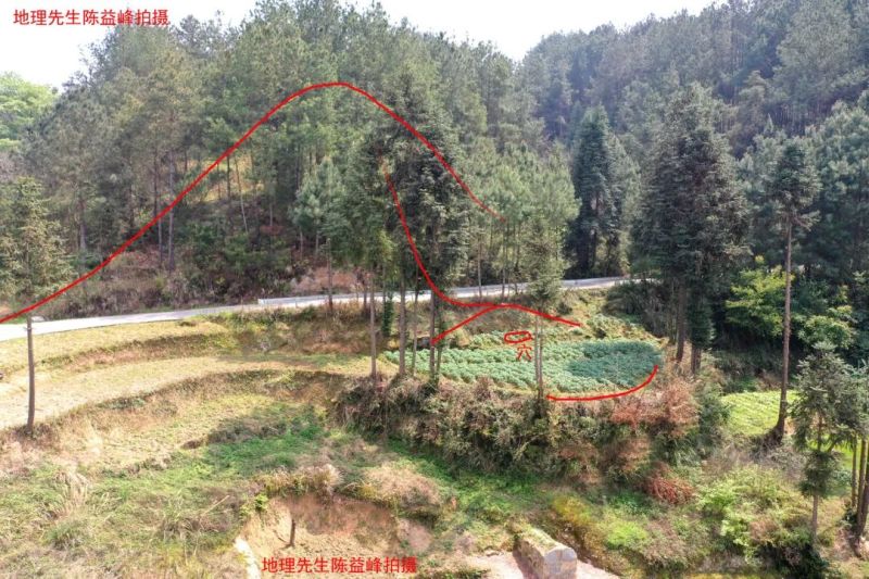 1585276443496702.jpg 图片