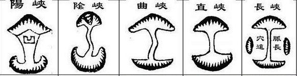 image.png 图片