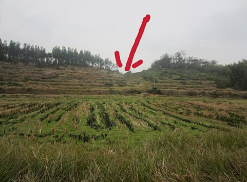 image.png 图片