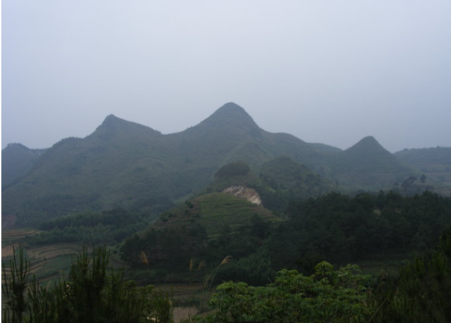image.png 图片