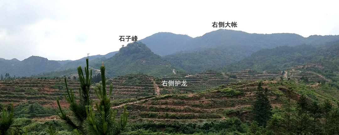 image.png 图片