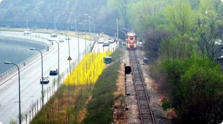 1560404407694776.jpg 图片